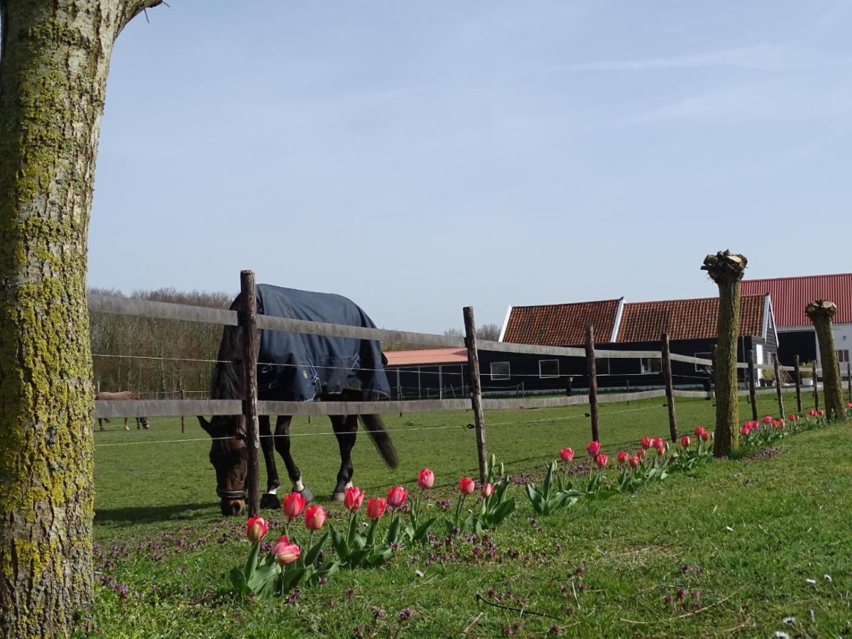 Bed and Breakfast De Tulp Noordgouwe Zewnętrze zdjęcie