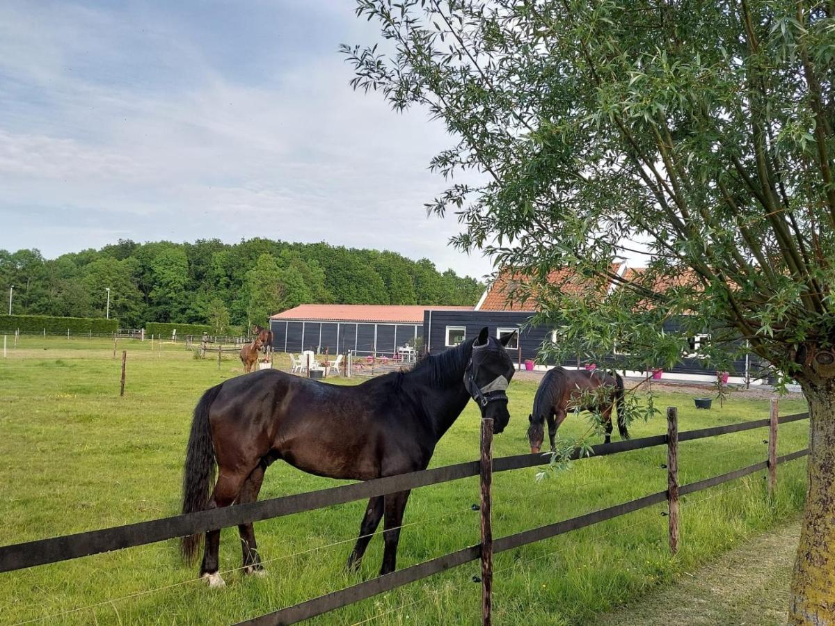 Bed and Breakfast De Tulp Noordgouwe Zewnętrze zdjęcie