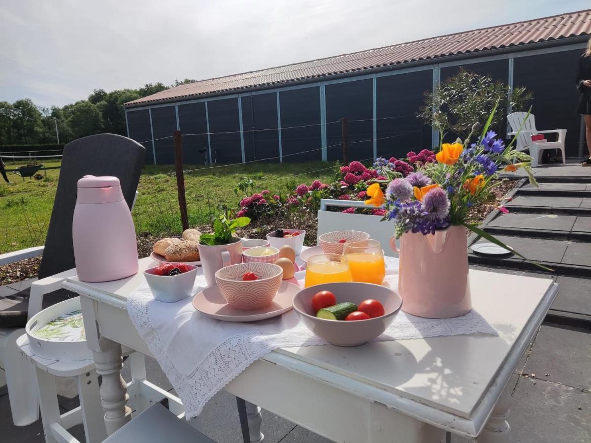 Bed and Breakfast De Tulp Noordgouwe Zewnętrze zdjęcie