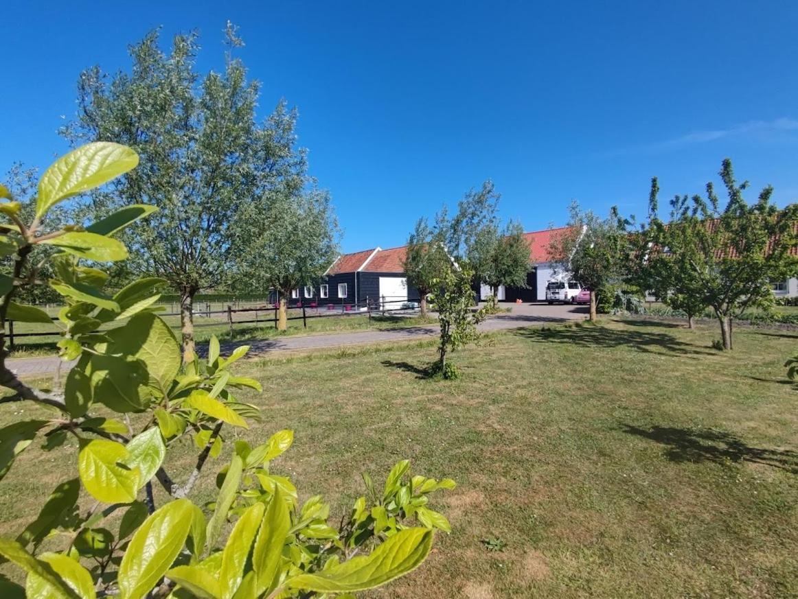 Bed and Breakfast De Tulp Noordgouwe Zewnętrze zdjęcie