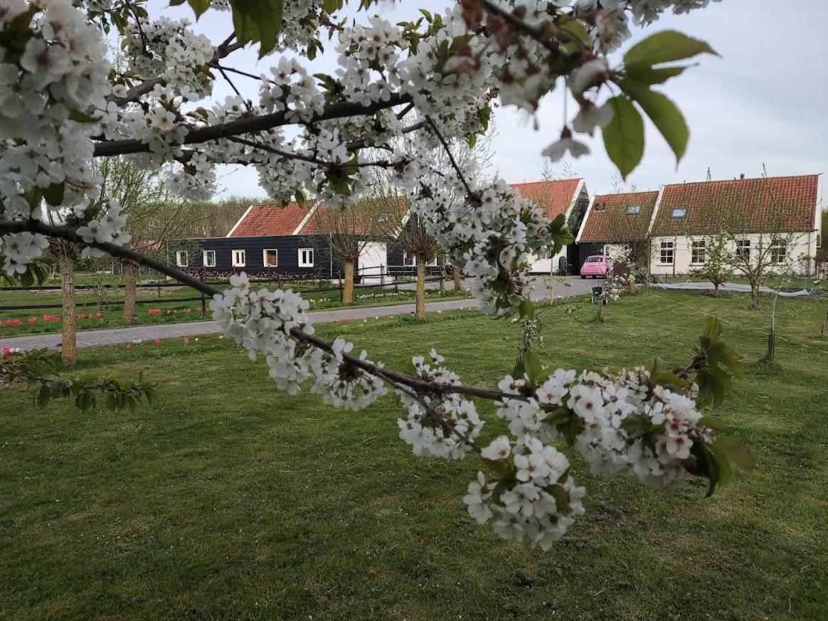 Bed and Breakfast De Tulp Noordgouwe Zewnętrze zdjęcie