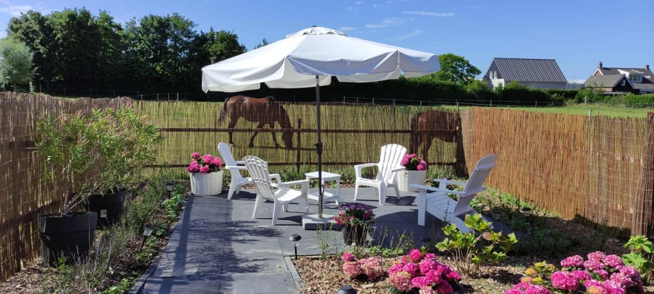 Bed and Breakfast De Tulp Noordgouwe Zewnętrze zdjęcie